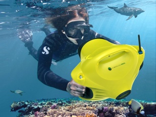 DOLPHYN® , console interactive subaquatique