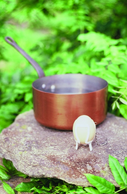 Ustensile de cuisson : Cuicoque