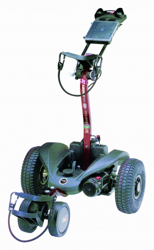 Chariot de golf RMT
