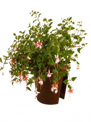 pot Cavalier