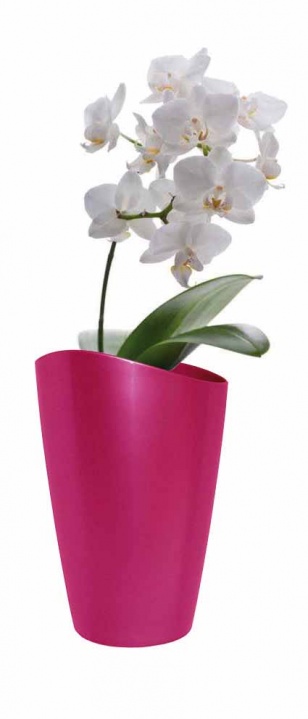 Kit ORCHID, kit de rempotage et de culture pour orchidée