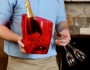 Seau Hertus, seau à champagne