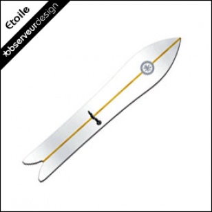 Surf des neiges 4807
