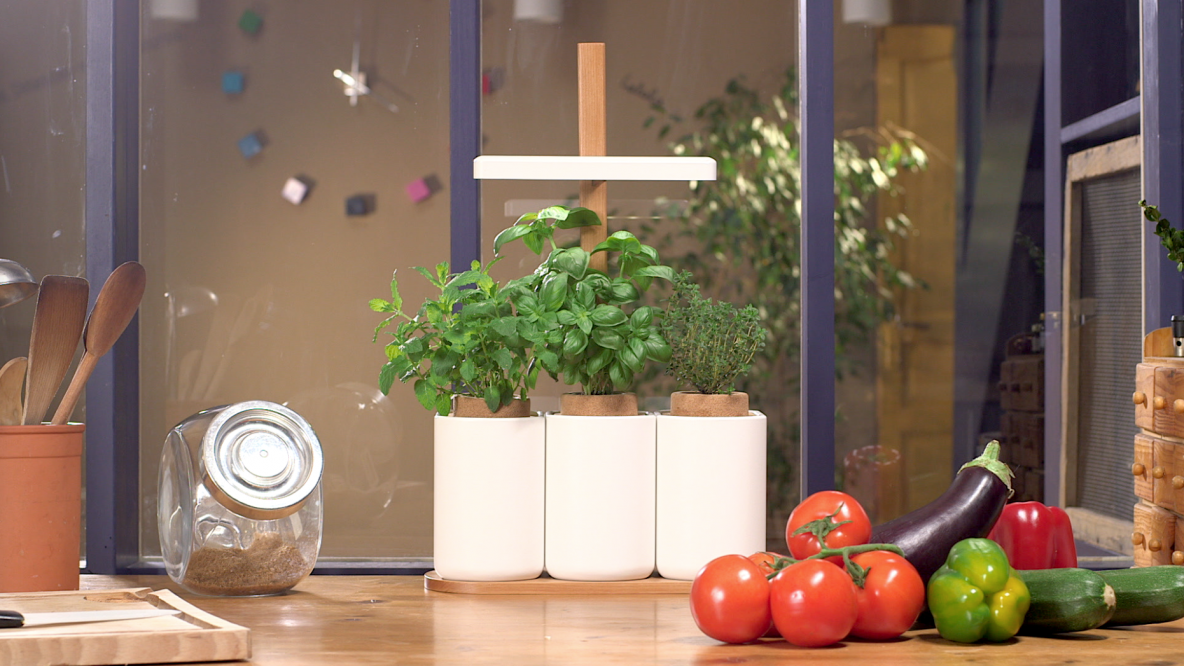 LILO - Système intégré pour faire pousser des plantes aromatiques en intérieur
