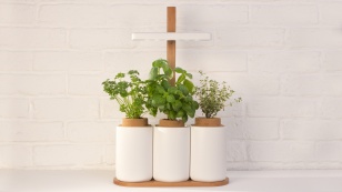 LILO - Système intégré pour faire pousser des plantes aromatiques en intérieur