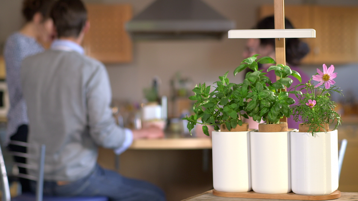 LILO - Système intégré pour faire pousser des plantes aromatiques en intérieur