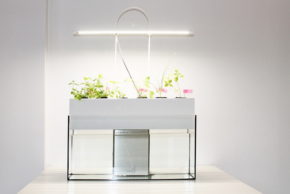ENNO, aquarium potager
