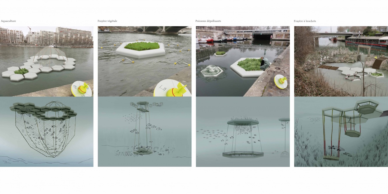 In fluvio, installation de 4 micro-écosystèmes le long de la Seine